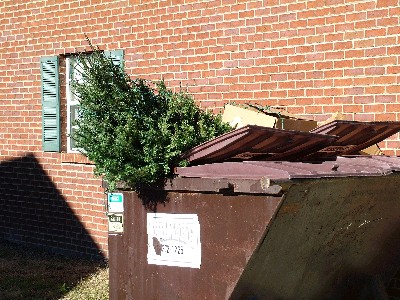 Tree in Trash(net).jpg
